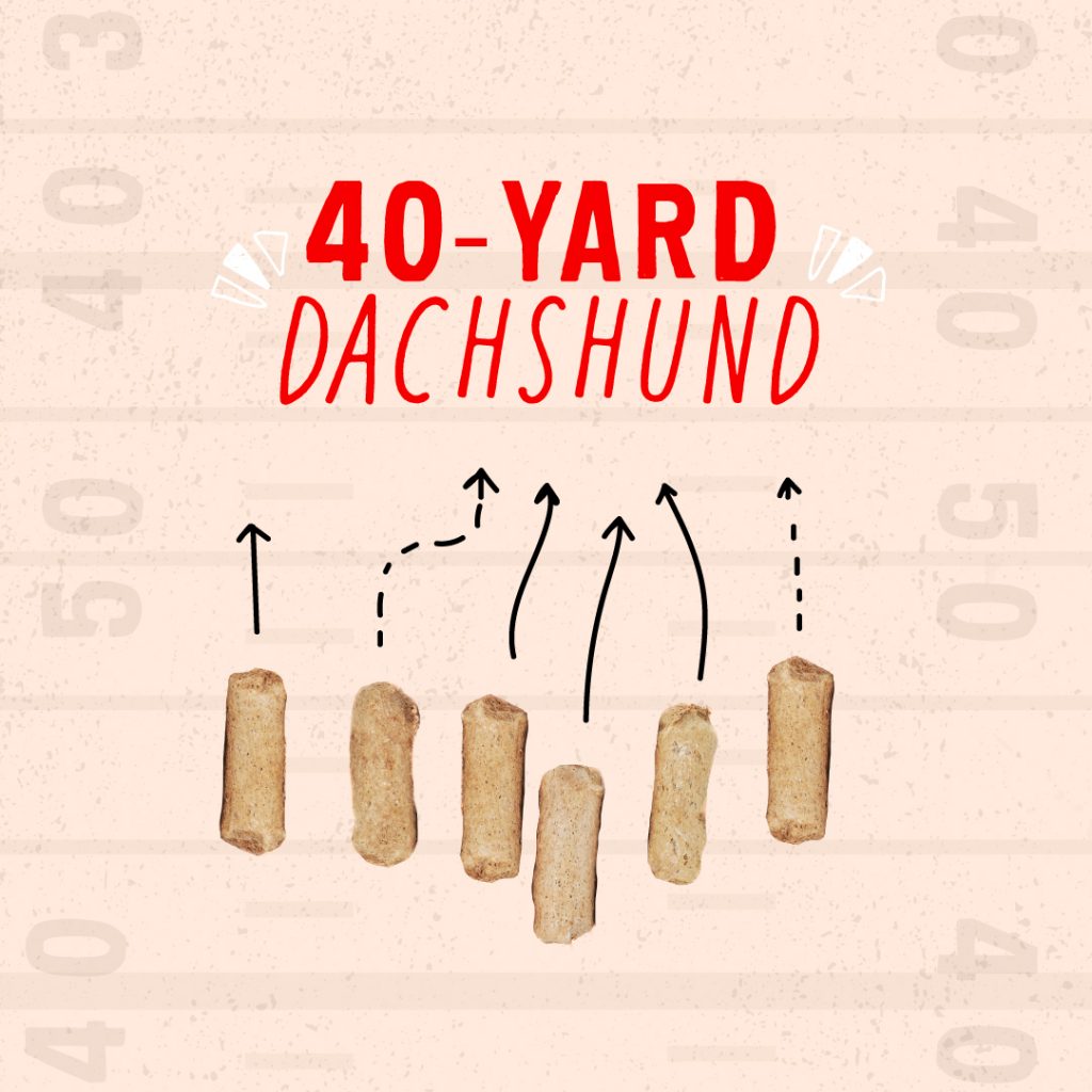 40-Yard Dachshund Football Play