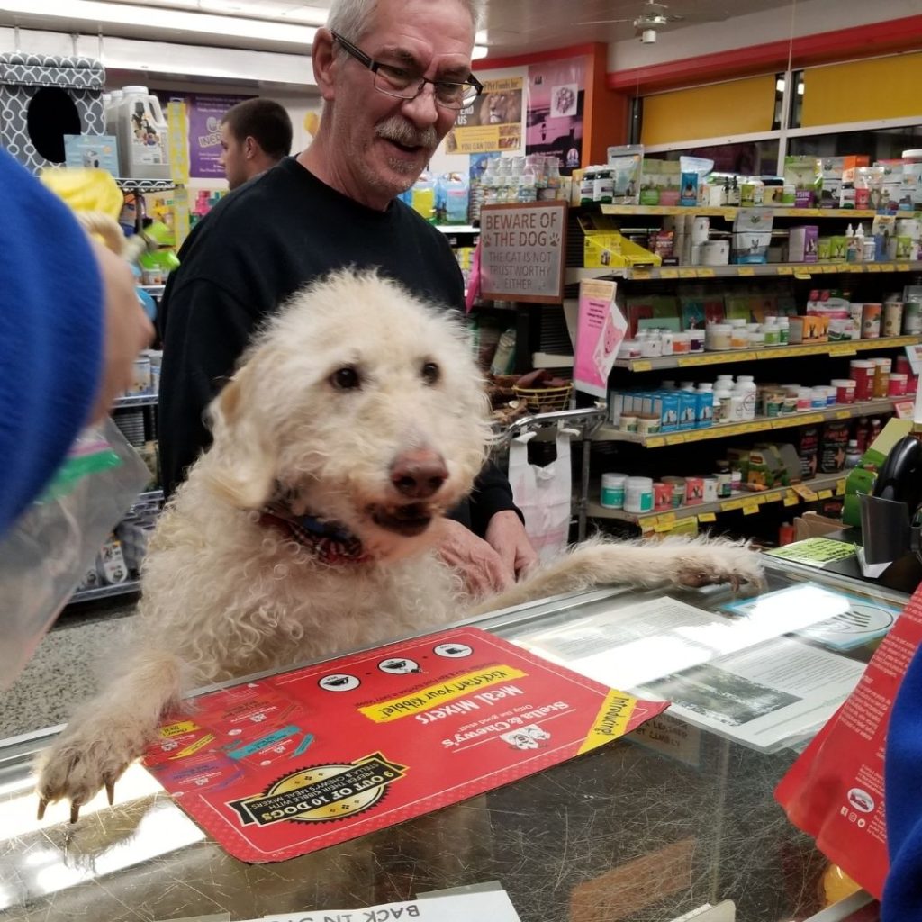 A man and his dog at the checkout counter at Bark N Scratch Outpost.