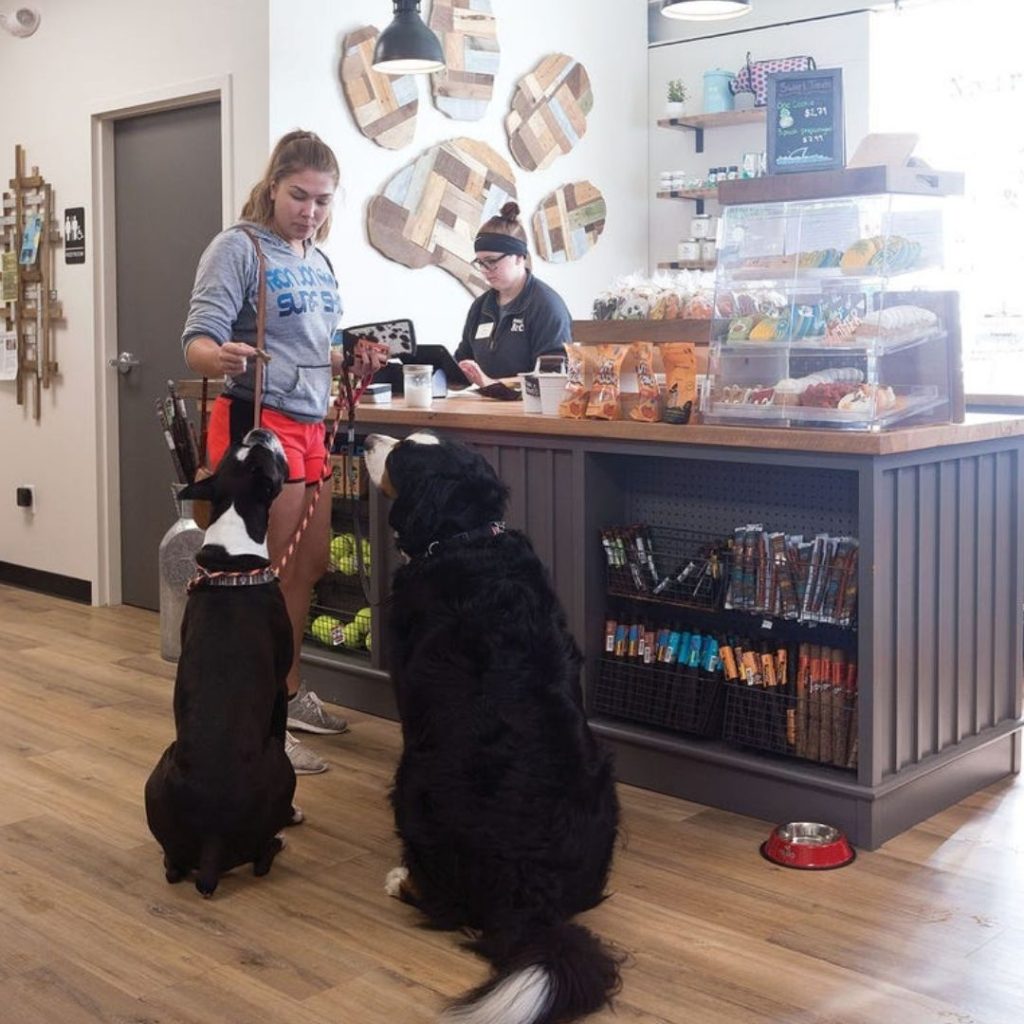 A customer with two dogs checks out at her local Mutts & Co.